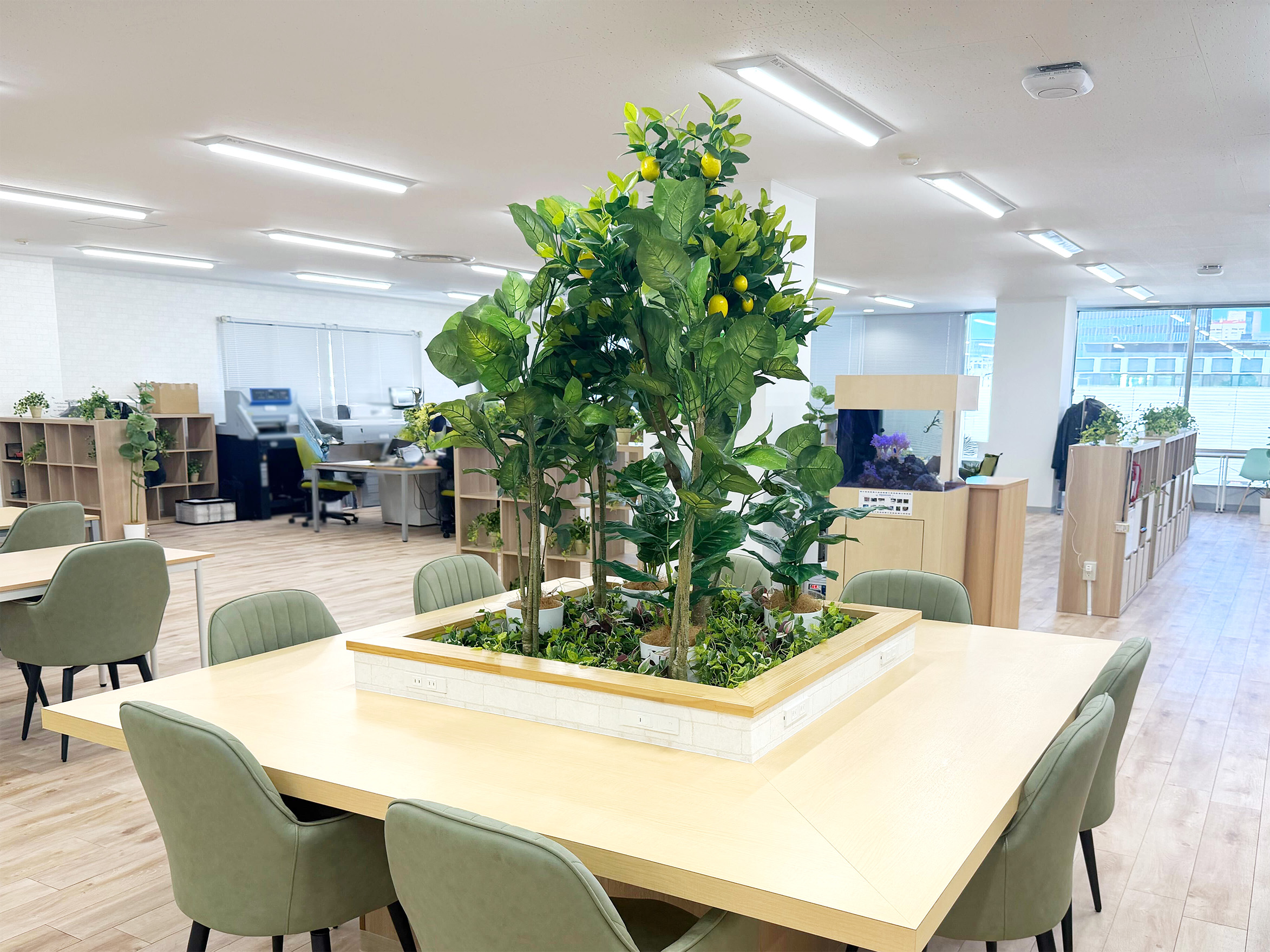 ESキッチン導入